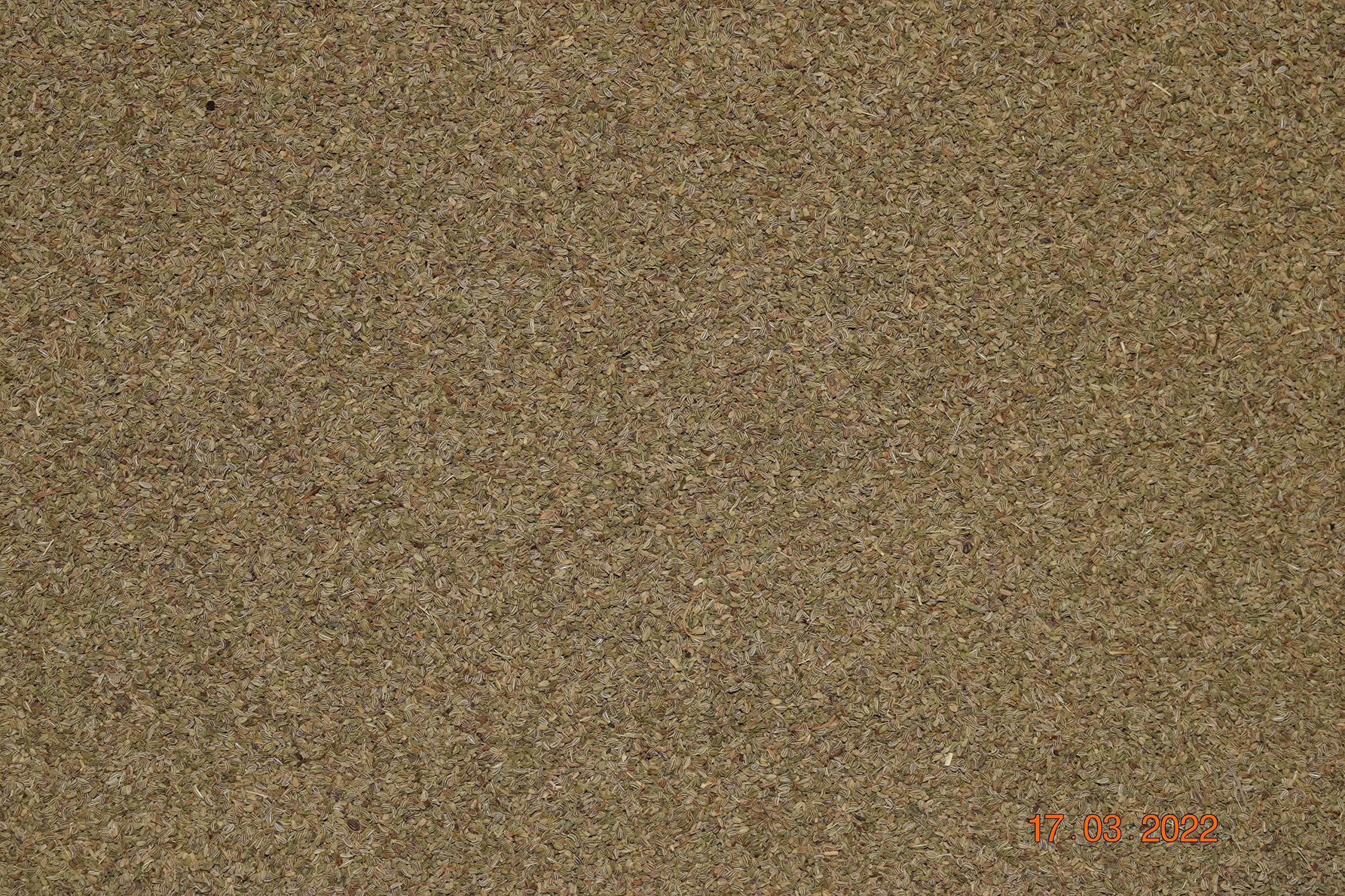 YEXUS Yexus Premium Ajwain Seeds, 50g | Ajmod | Jumud | Omam | Carom Seeds | Caraway | Thymol Seeds