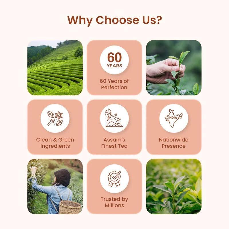 APSARA APSARA Instant Tea Masala Premix Tea 10 Sachets|Masala Tea Powder|Masala Chai Instant Tea Premix Ready Mix Tea Sachets | Chai Masala | Masala Flavour Tea | Masala Tea Premix 10 Sachets(Pack of 1)