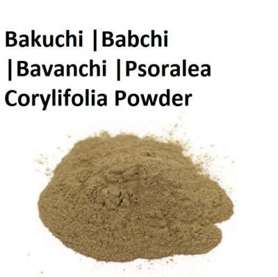 KASEX Bharat Psoralea Corylifolia Bawachi Shud Powder, Herbal Powder Made with Organic Bakuchi Seeds Herbs, Used for Healthy Skin Net 100g