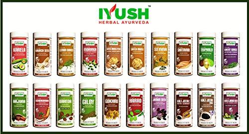 IYUSH IYUSH Herbal Ayurveda Vijaysar Powder (pack of 2)- 100gm each
