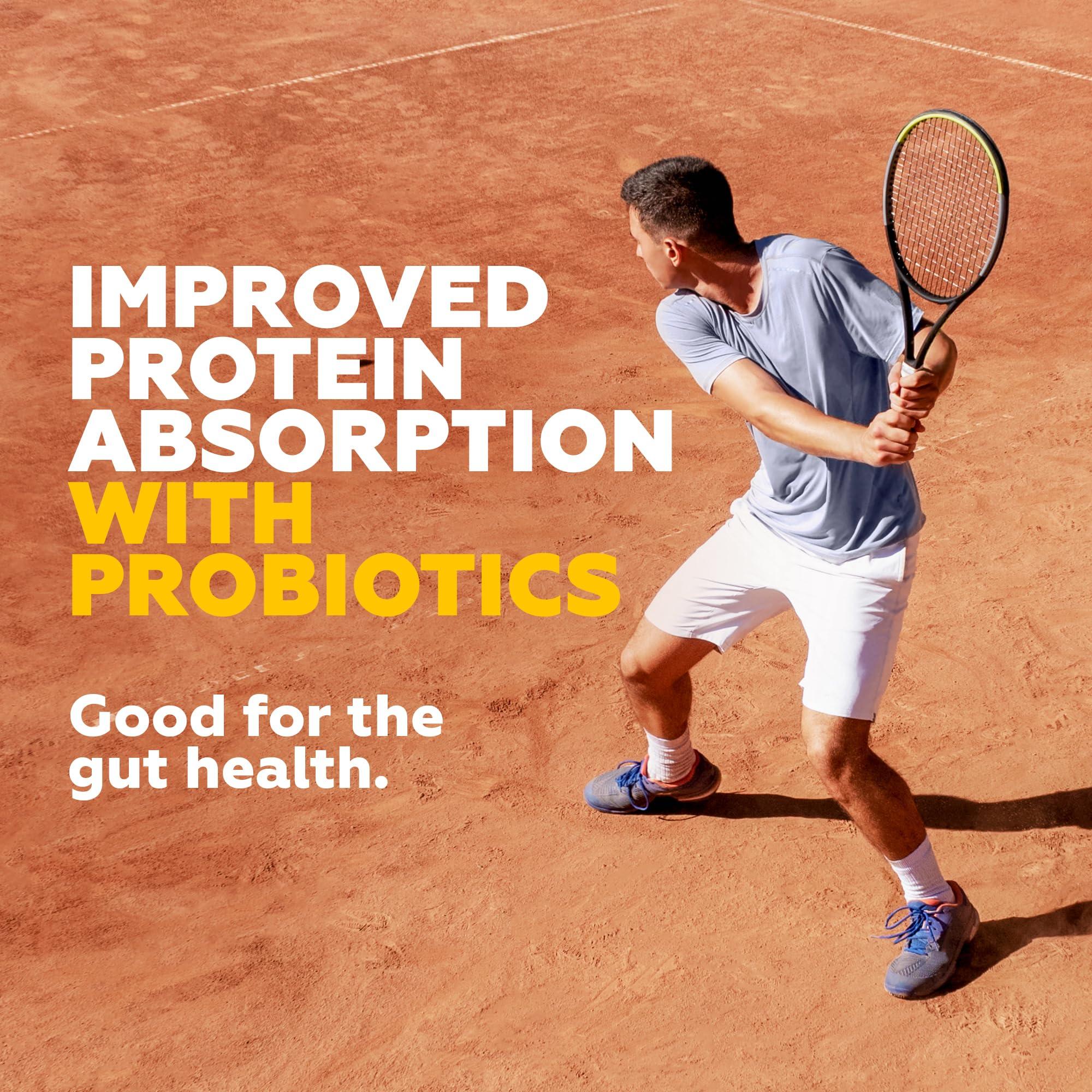 Yogabar Yogabar No Added Sugar 20g Protein Bars | High Protein & Energy Bars | Added Probiotics & Whey | 20g Protein & 10g Fibre Nutrition Bars| Pack of 15 x 70g Each | No Preservatives | Pack of 3