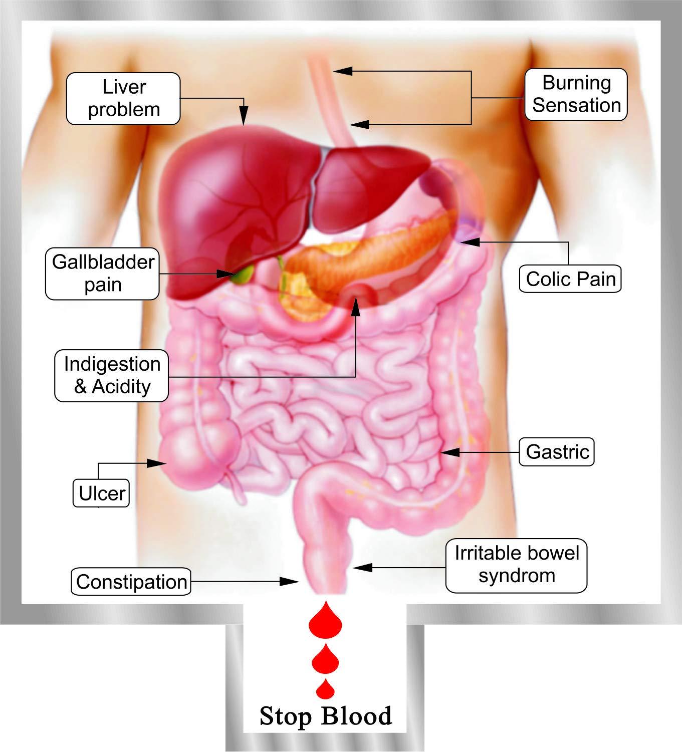 sundarban Livoguard liver tonic ayurvedic syrup 450ml pack