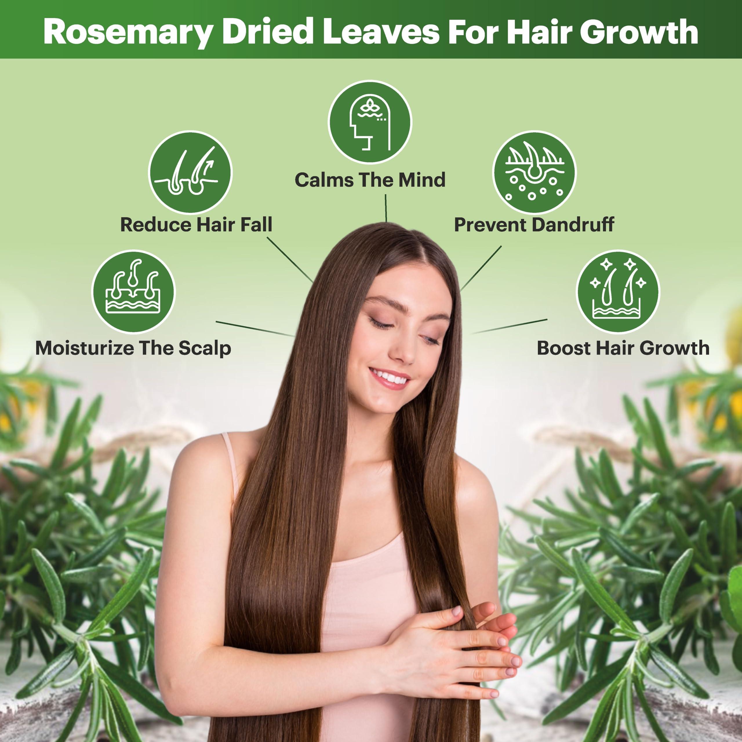 NeutraVed NeutraVed Rosemary Leaves 100g, for Hair Growth and Seasoning Food and Herbal Rosemary Tea | Packed Clean, No Dust and Stems Free in Stand-Up Zipper Pouch - 100 Gram
