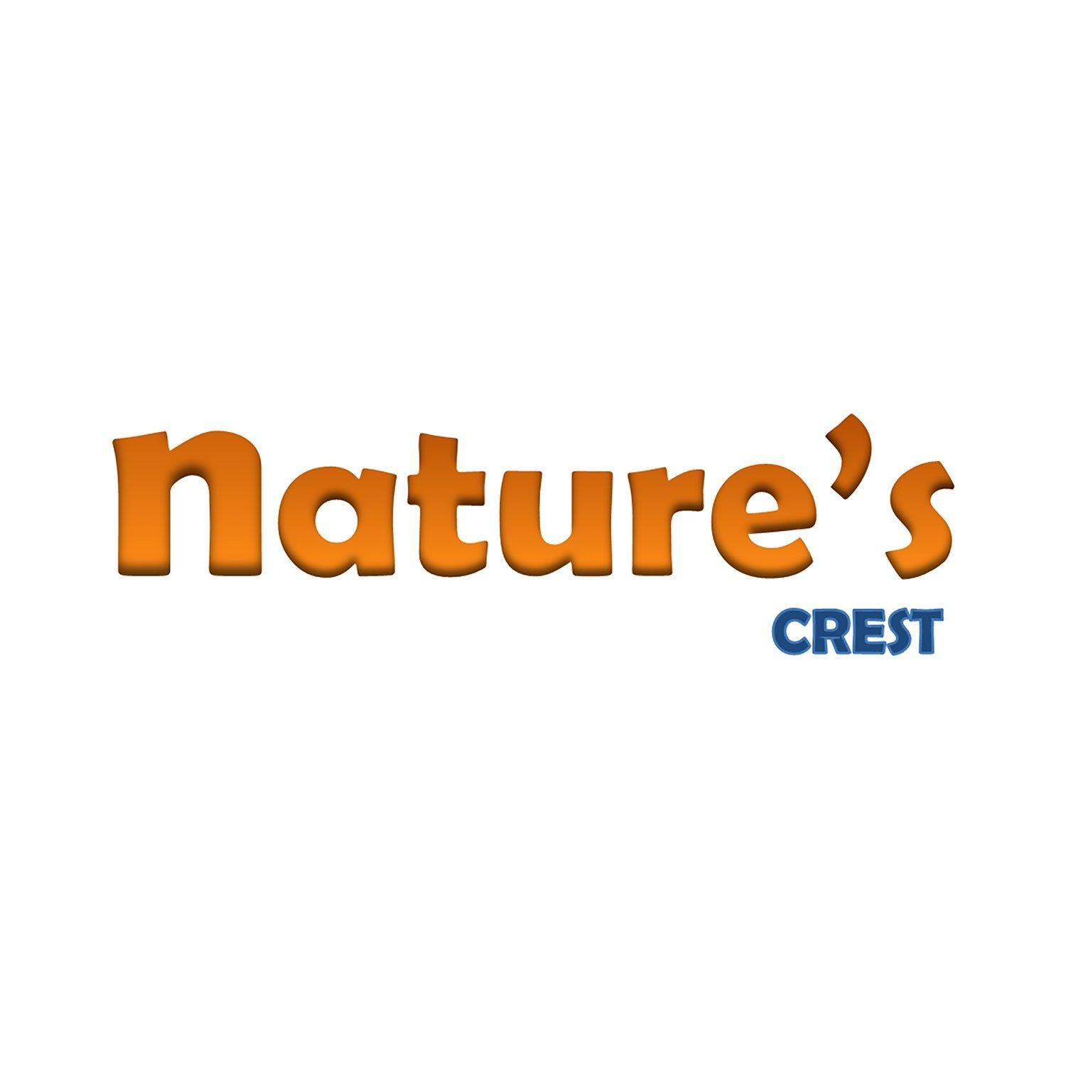 Nature's Crest Nature's Crest Crystal Quartz Sphatik Lemurian 9 Pyramid Charging Plate 1 Pc Clear Natural for Healing Meditation Chakra Reiki Tool Sacred Geometry Crystal Gemstone Altar Decor Spiritual Gifts