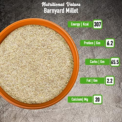 TruNaturals TruNaturals Unpolished Barnyard Millet 1.8Kg | Siridhanya Positive Millet Gluten-Free & Organic | Dr Khader Vali Millets | Sanwa | Jhangora | Kuthiravali | Odalu | Rich in Fibre & Proteins