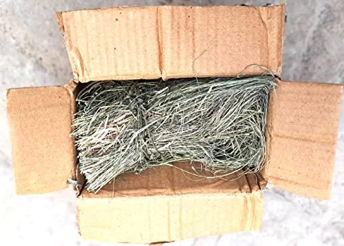 indianvedic Dried Dry Doob Ghaas Durva Grass Bahama Ghas Indian Couch Arugampul | Cynodon dactylon 250gm