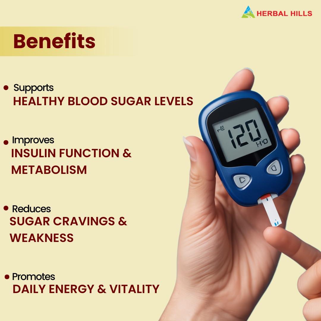 HERBAL HILLS Herbal Hills Diabohills Syrup with Karela Jamun 500ml Shots (500 ml (Pack of 4))