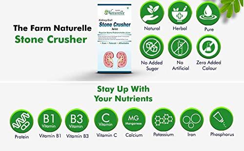 Farm Naturelle Farm Naturelle 100% Herbal & Pure Healthy Kidney Stone Cleaner Juice400Ml 2+2 Free ( Pack of 4) and 55gx4 Honey.