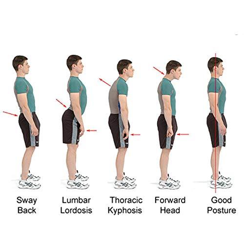 House of Quirk House of Quirk Posture Support Brace | Best Fully Adjustable Support Brace | Improves Posture and Provides Lumbar Support | For Lower and Upper Back Pain (XL)