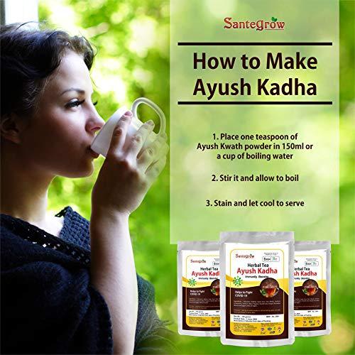Santegrow Santegrow Ayush Kadha Immunity Booster Powder - Govt. Recommended Ingredients (Tulsi,Dalchini,Kali Mirch,Sonth)