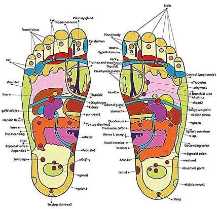 Safedeal Acupressure Magnetic and Acupressure Shoe Sole Height