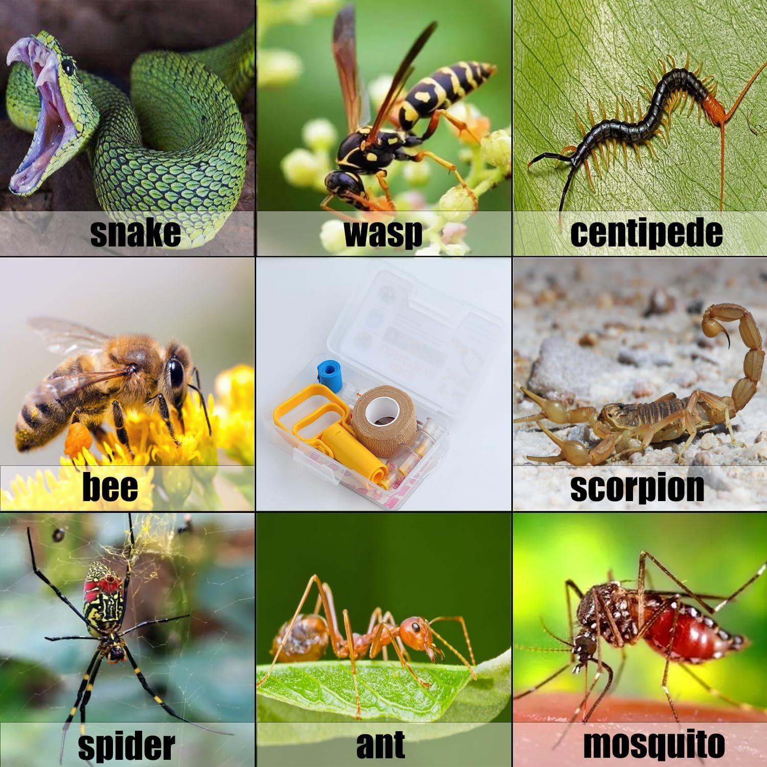 Yancorp Venom Extractor Suction Pump kit Insect Bug Bee Sting Snake Bite Kit Survival Kits Emergency First Aid Supplies for Hiking Backpacking Fishing Hunting