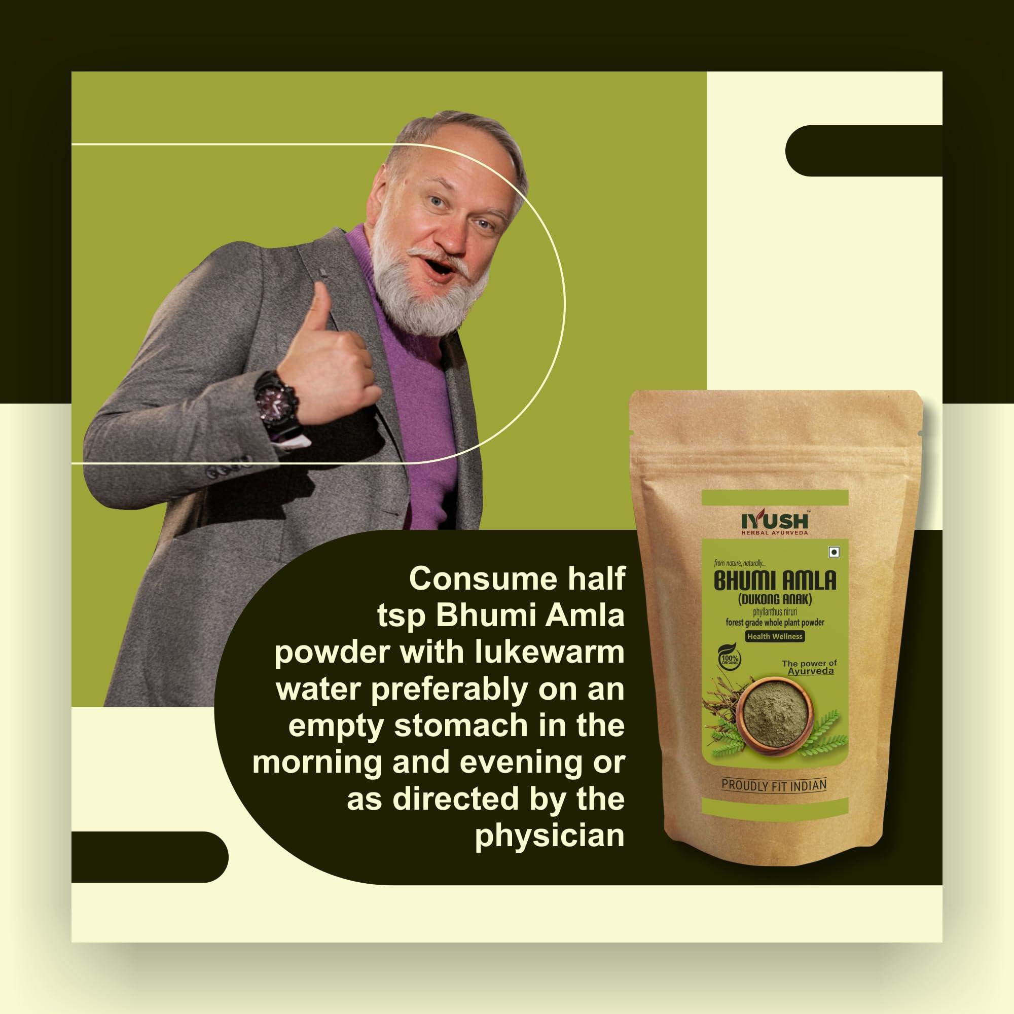 IYUSH Bhumi Amla Powder Organic, 900gm