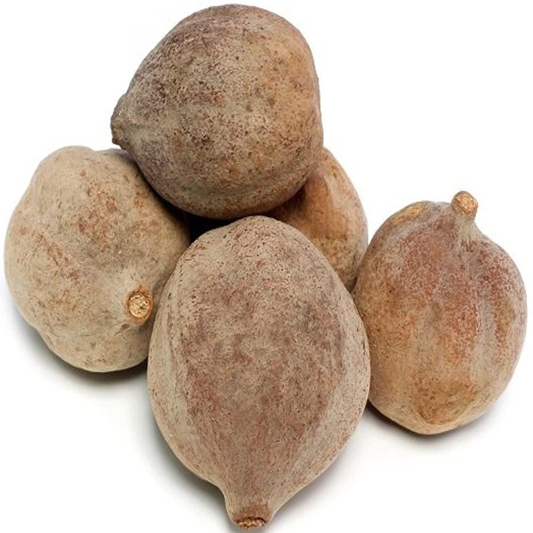 Bihari Brothers Tilkut Chini -500g || Pure Gaya Made - BihariBrothers