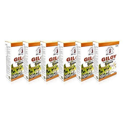 3GOrganic 3GOrganic Premium Quality Giloy Powder for Healthy Hair & Multipurpose 100 Grams (Pack of 6)