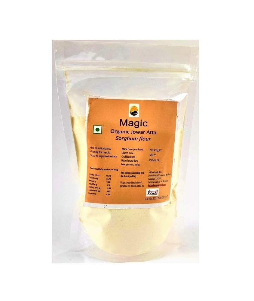 Geo-Fresh Geo-Fresh USDA Certified Organic Basil (20 g)