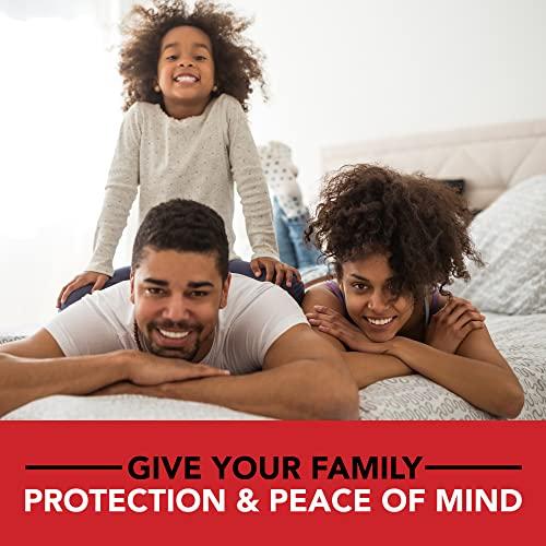 Steripod Steripod Clip-On Toothbrush Protector, Green and Blue, 2 Count