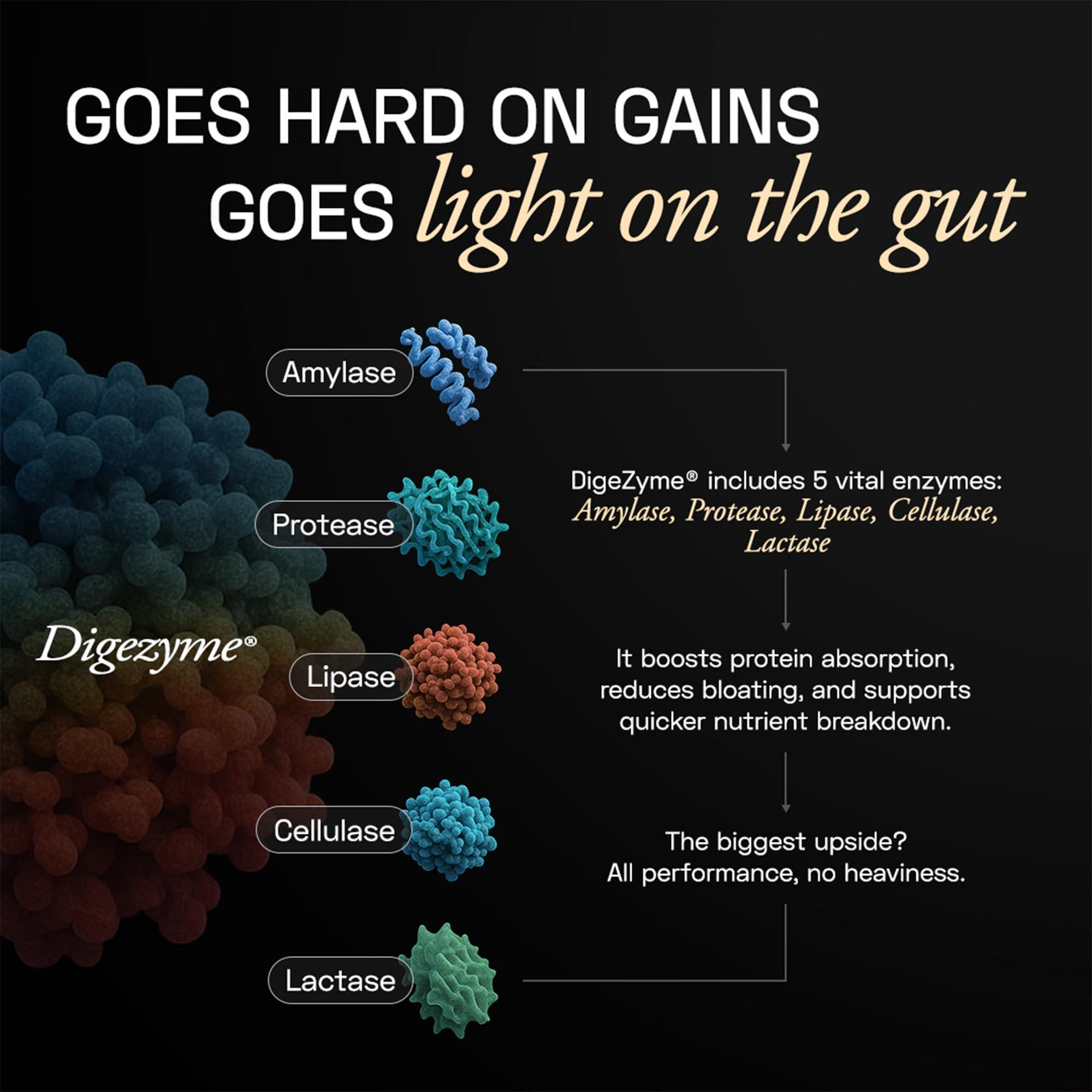 Ace Blend Ace Blend Intense 30G Plant Protein (15 Servings) | Pea & Brown Rice Isolate | 6G BCAA | Complete Amino Acid Profile | Gut Friendly | Muscle Growth & Recovery | Men & Women | Mocha Flavour