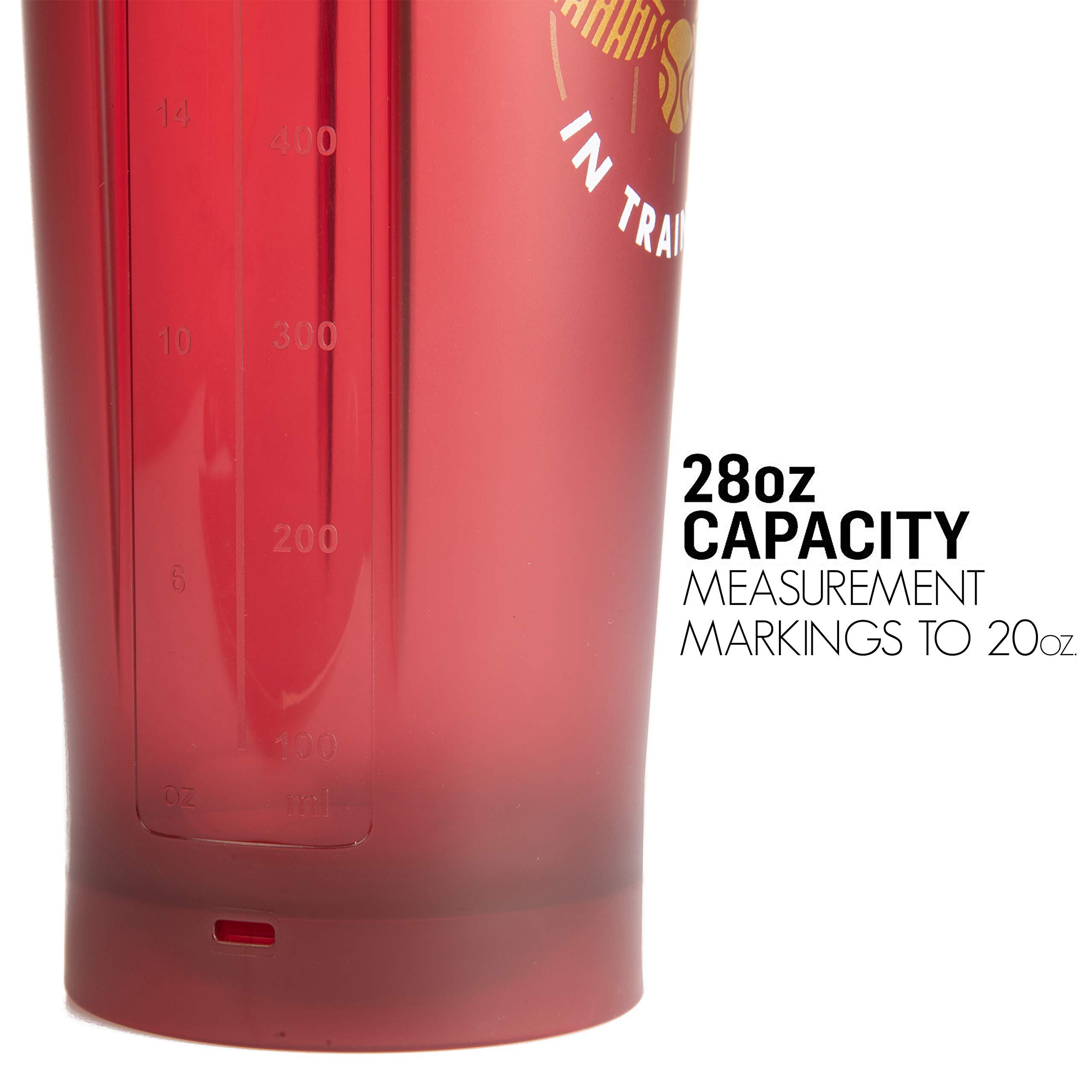 Harry Potter Harry Potter BlenderBottle V2 Shaker Bottle, 28 oz - Seeker in Training - Gryffindor Quidditch Colors