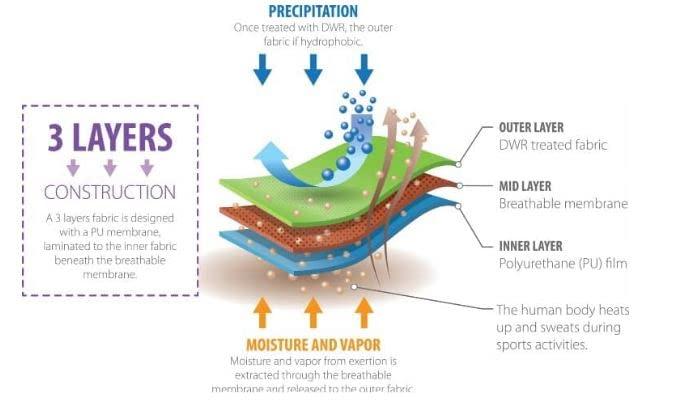 Ella Ella (1 kg) HRT Kitchen Tissue/Towel Paper Roll (Pack of 1) 100% Biodegradable Virgin Tissue Paper Eco Friendly Soft Highly Skin-Friendly Tissue/Paper Towel -1 kg roll