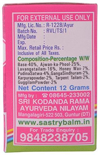 Sastry Balm Sastry Balm Ayurvedic Painbalm (Pack Of 2)- 12 Gms