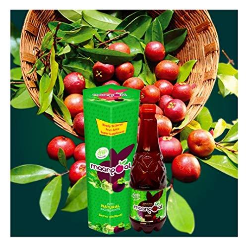 Maangoal Maangoal Ayurbedic Diabetic Health Drink (400 ml)