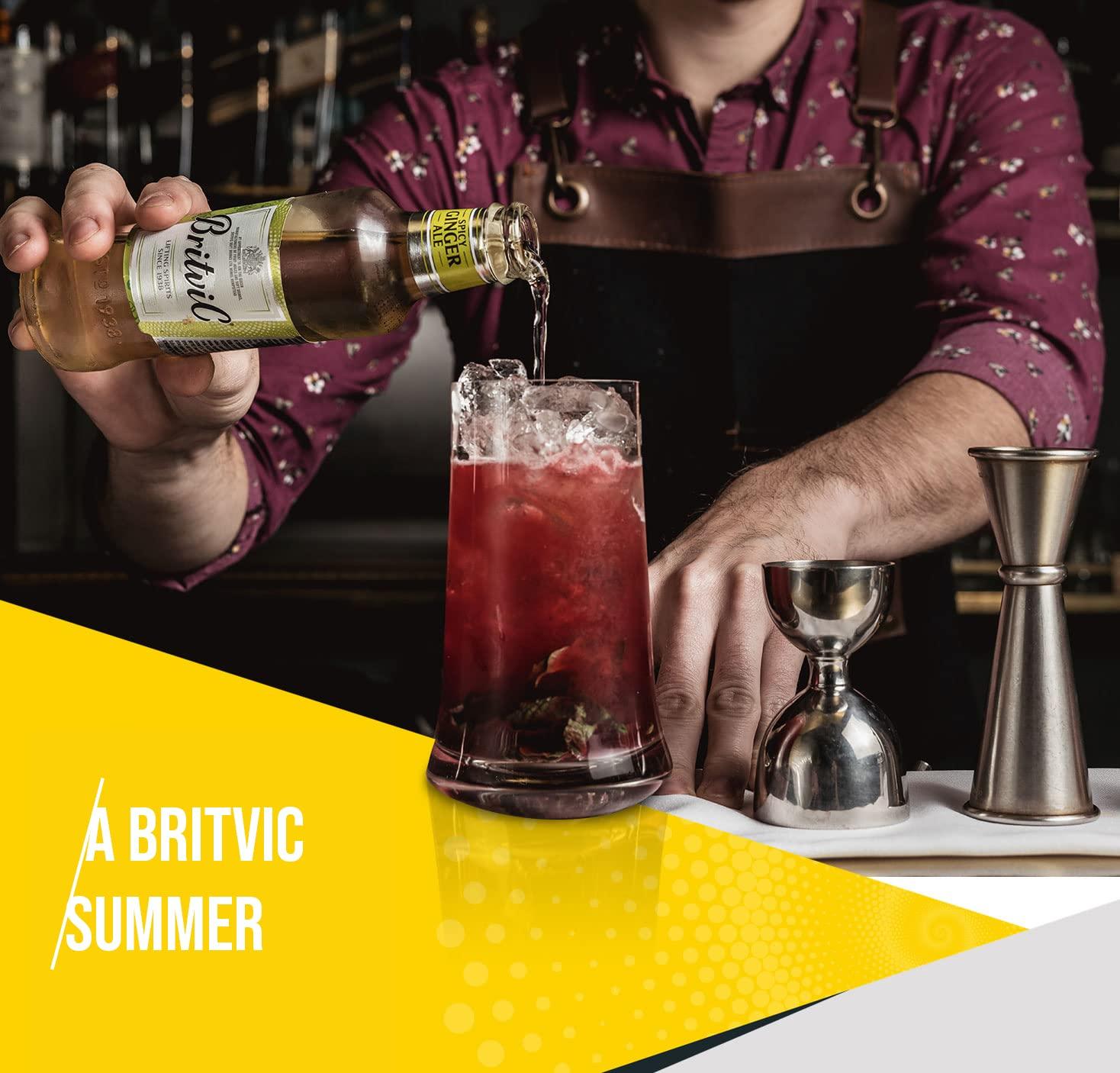 Britvic Britvic Ginger Ale, 200 ml