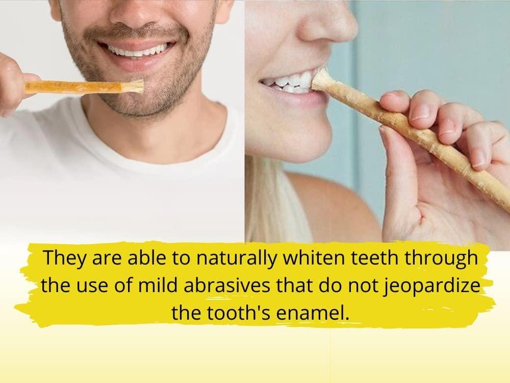 Billion Deals Natural Traditional Miswak (sewak) Peelu Chewing Stick Toothbrush for Whiter Teeth (3)