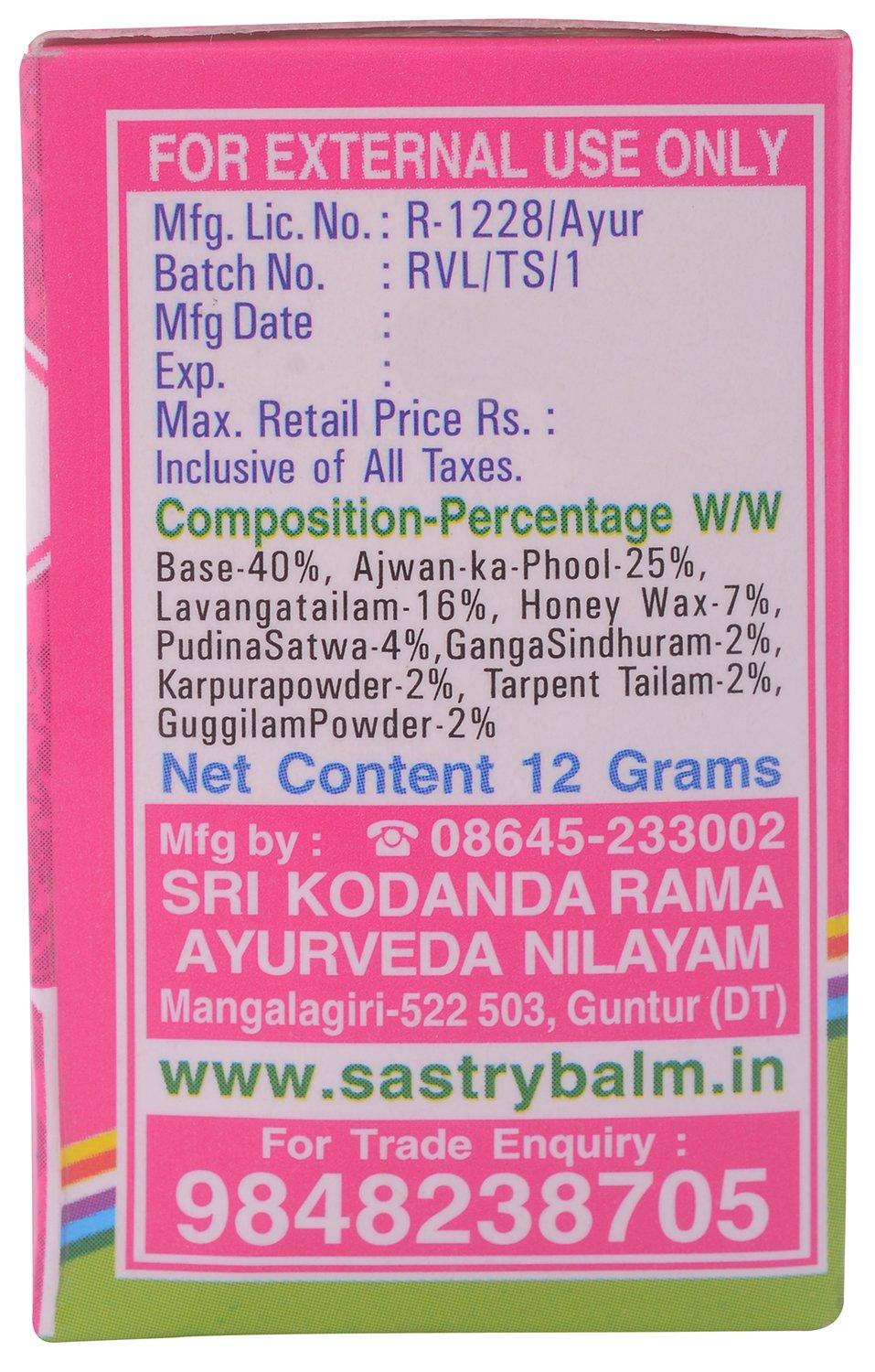 Sastry Balm Sastry Balm Ayurvedic Painbalm (Pack Of 2)- 12 Gms