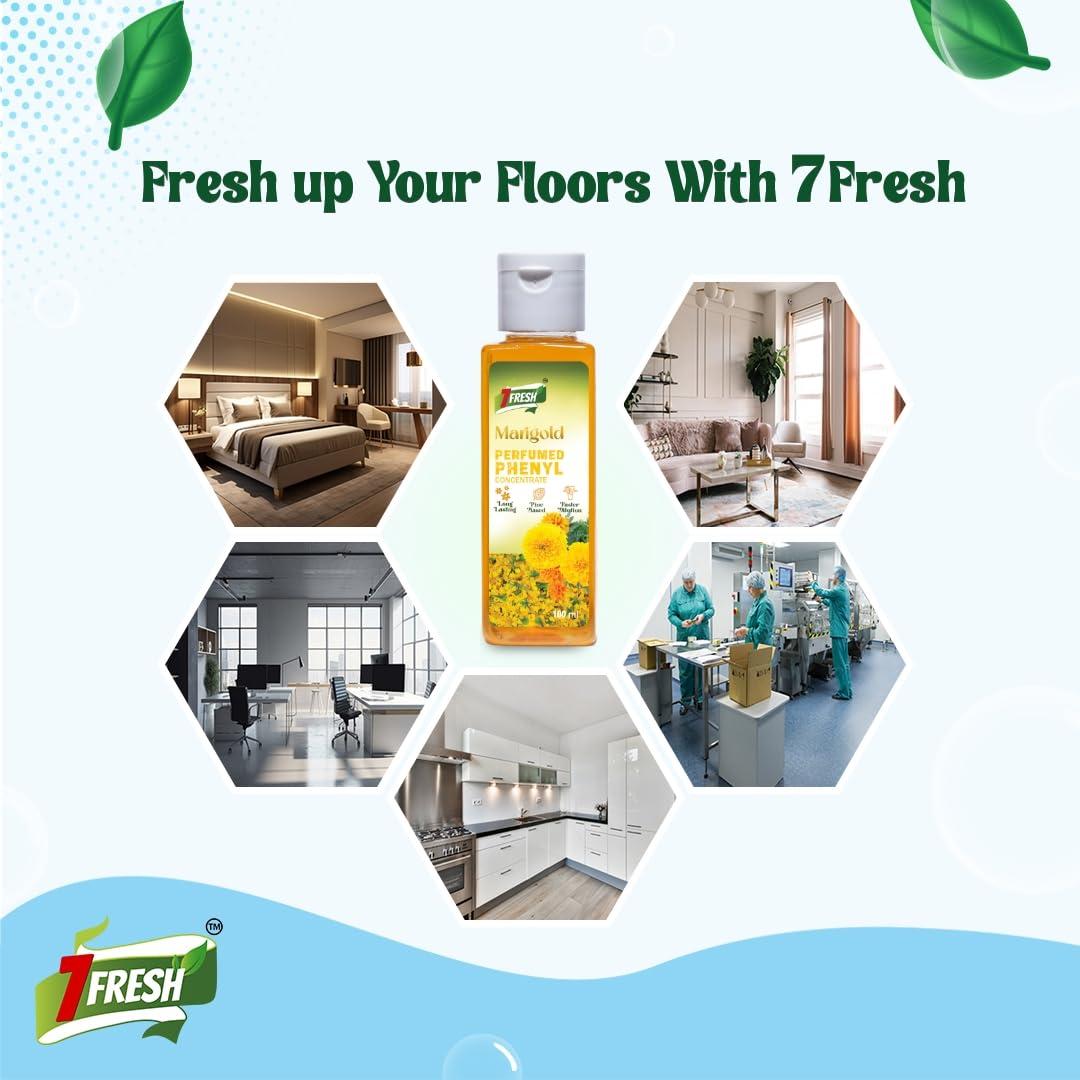 7Fresh Phenyl Concentrate Combo 2