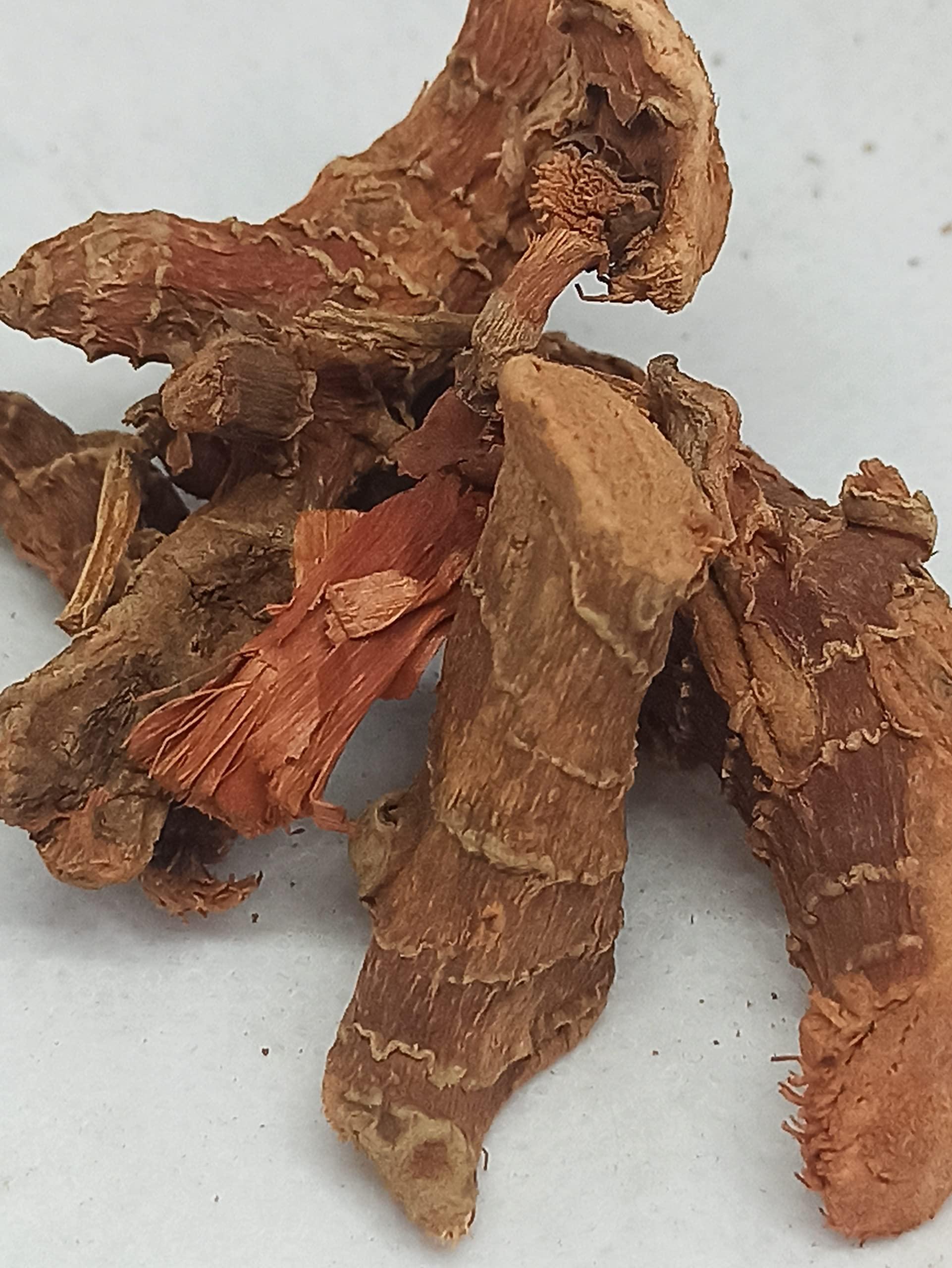 Generic NATURALIFE\'S-*SITHARATHAI*-CHITARATHAI I I Sitharathai I Lesser Galangal I Kulanjan I Alpinia Officinarum.