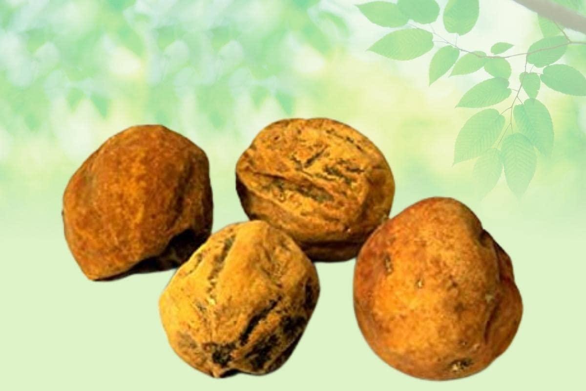 India's Creation Jodhpur, Rajasthan Indrayan Phal-Citrullus colocynthis-Raw Herbs-Indrain Fal-Tumba-ndrayun-Bitter Apple-Jadi Booti-Single Herbs (250 Gram)