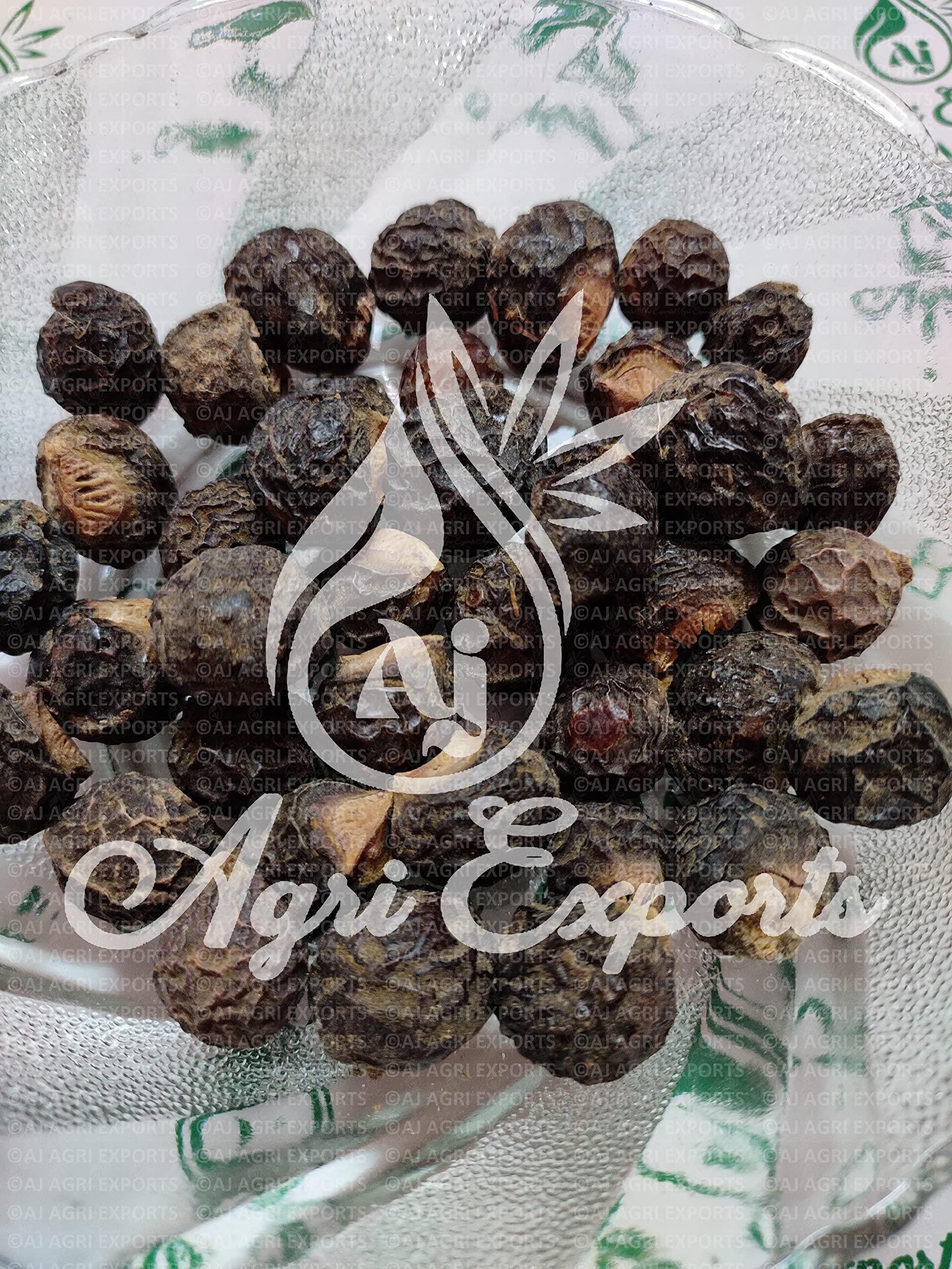 AJ AGRI EXPORTS AJ AGRI EXPORTS Reetha Small - Ritha Chota - Sapindus Mukorossi - Soapnuts - Aretha Chota - (100Gram)