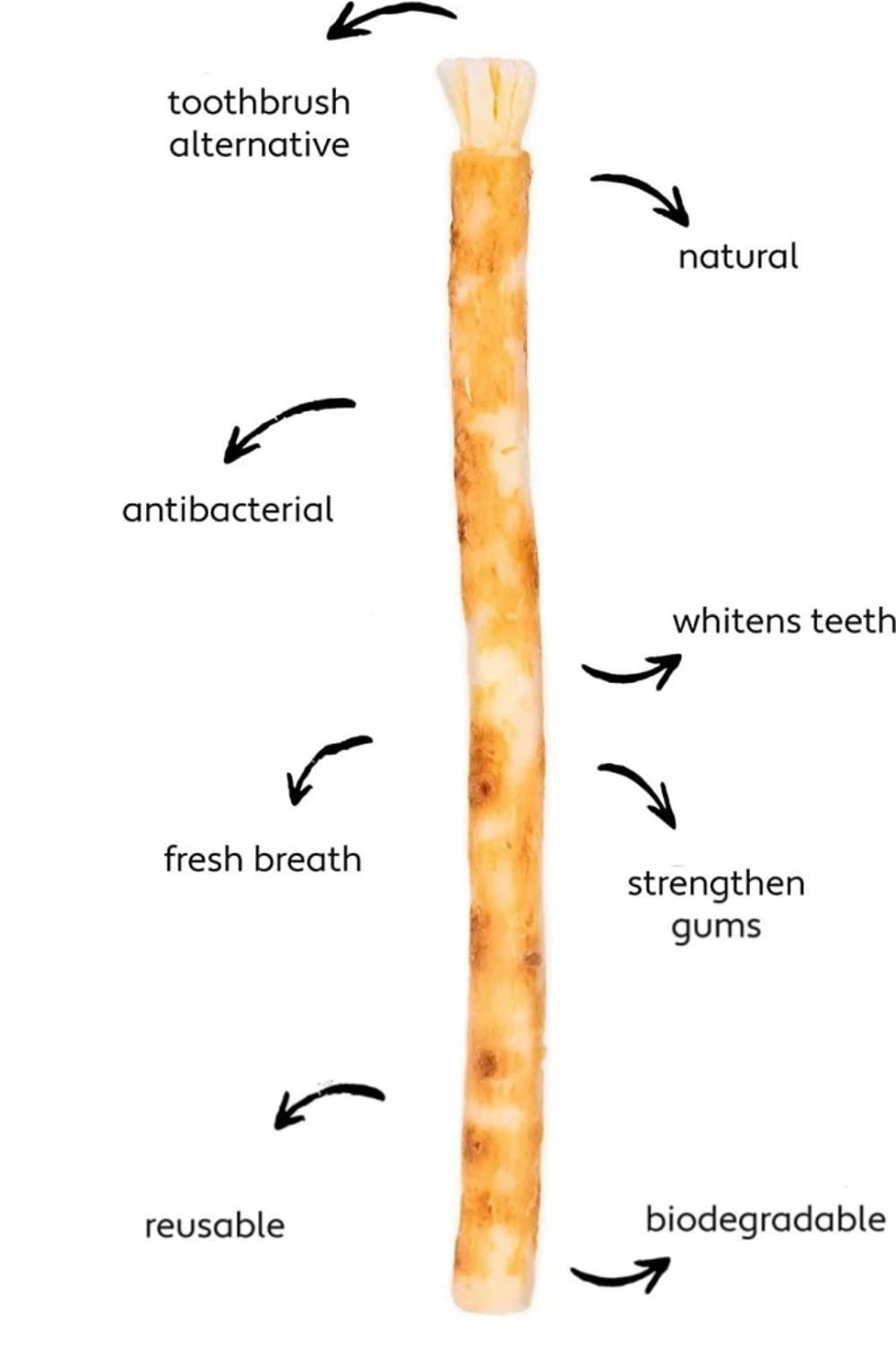 Generic Miswak tooth brush/Datun Stick/Pack of 10