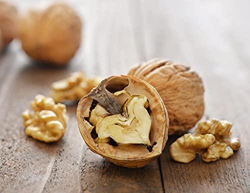 Kashmir Exotics Kashmir Exotics Organic Walnuts with shell 400gm