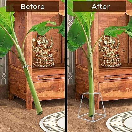 Stomata Gardens Stomata Decorative Banana Plant Stand for Ideal for Placing The Banana Plant/Tree/stem Stand for puja/Religious and Other Ceremonies Banana Leaf Stand for Pooja,Pack of (2)| banana stem holder