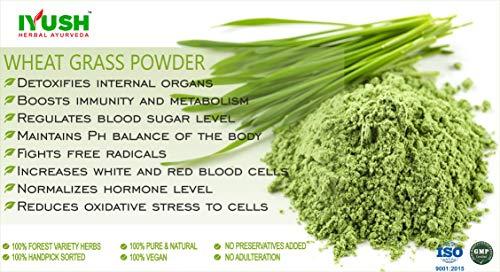 IYUSH Herbal Ayurveda IYUSH Herbal Ayurveda Wheat Grass Powder - 500gm (Rich in Chlorophyll, Antioxidants, Fatty Acids, Fibers and Minerals)