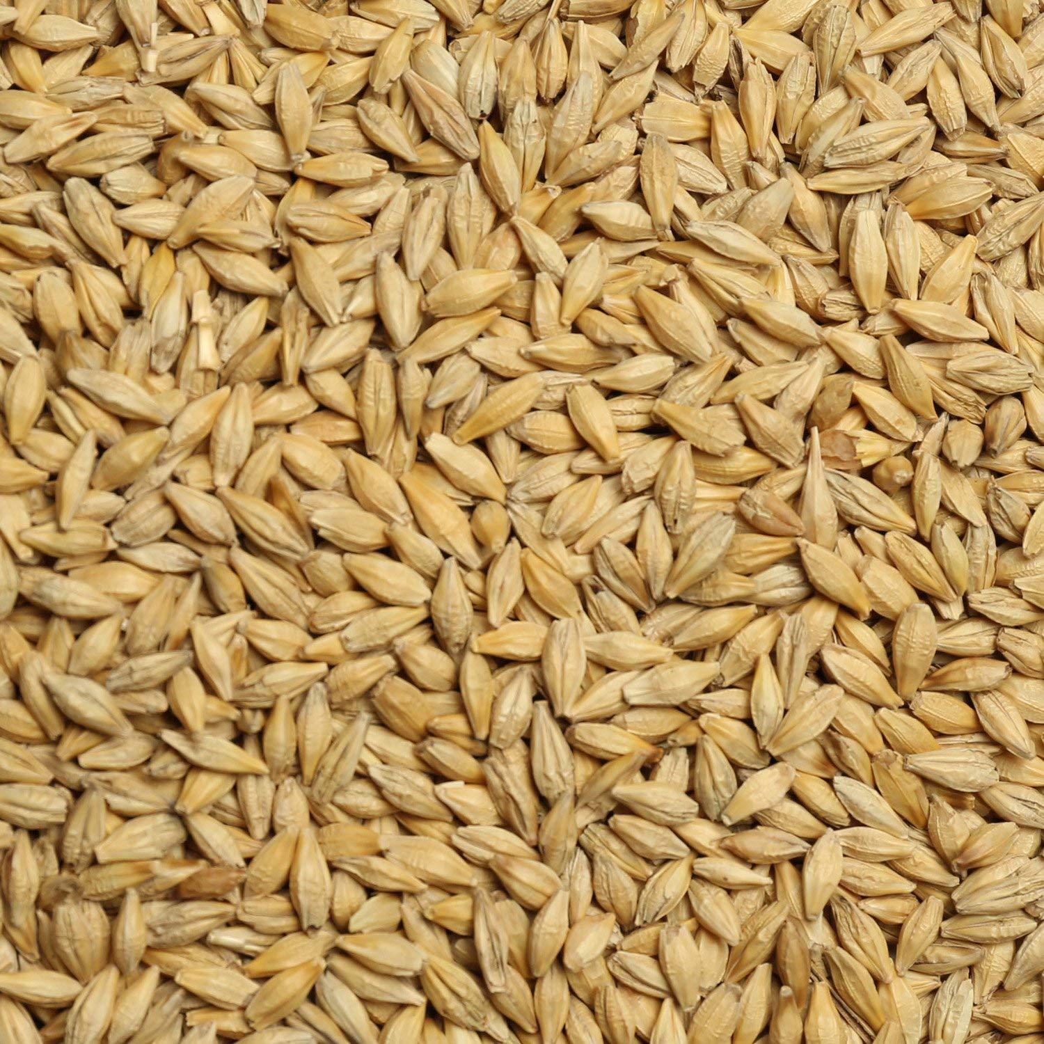 NaturePlatter NaturePlatter Raw Barley Seeds - 5Kg | Jau