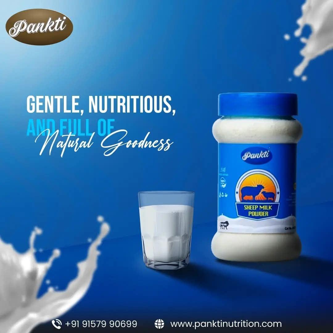 Pankti Pankti Freeze Dried Sheep Milk Powder (No Artificial Colors or Flavors, No Preservatives or Additives) 100 Gm (Pack Of 1)