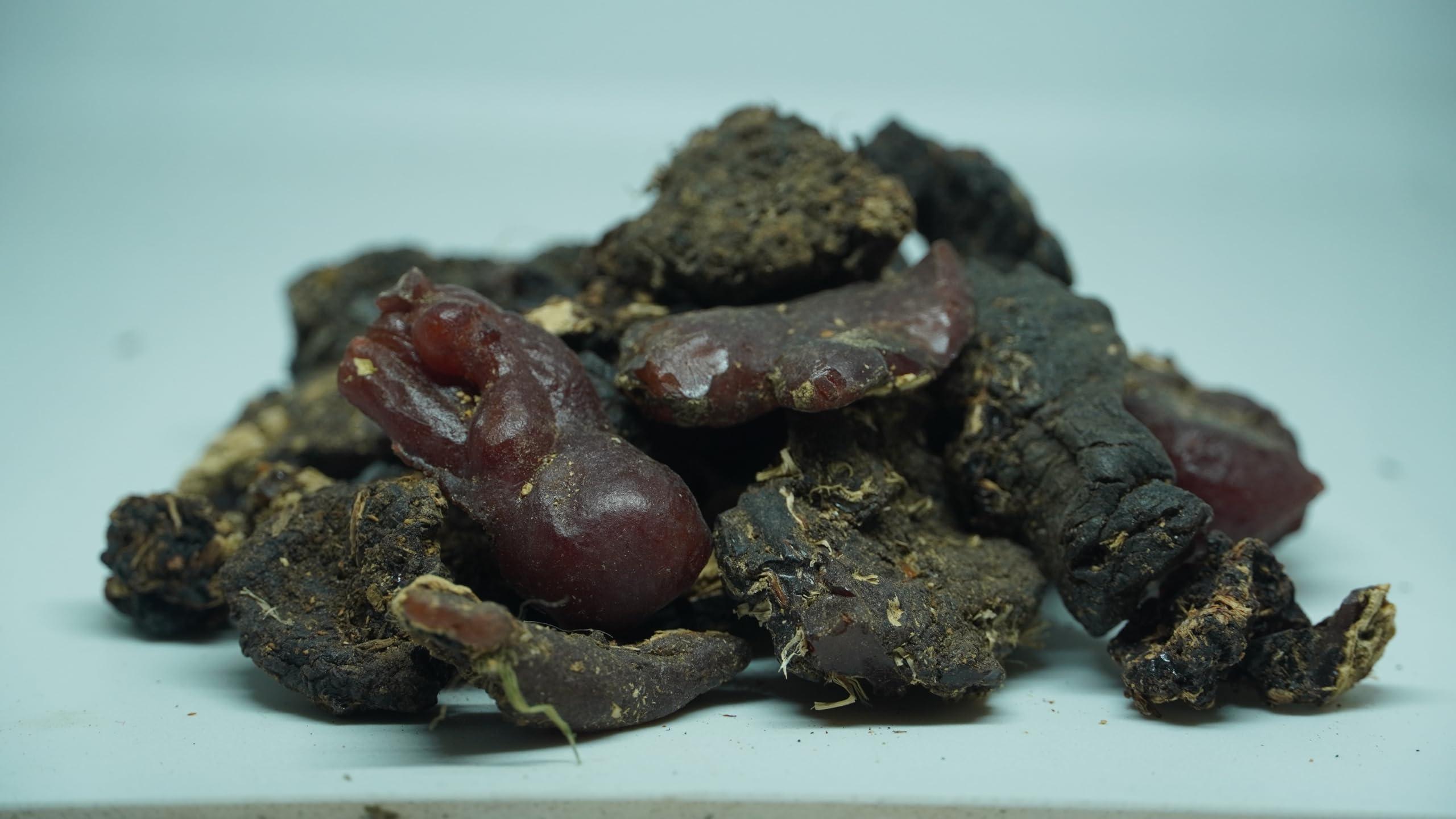 THOGAI THOGAIS -MURUNGA PISIN- / Moringa Oleifera/Drumstick Tree Resin/Ahijan/Munaga/Senjana Pattee/Muringai/Mochakamu/Munagachettu (500 GRAMS (PACK OF 1))