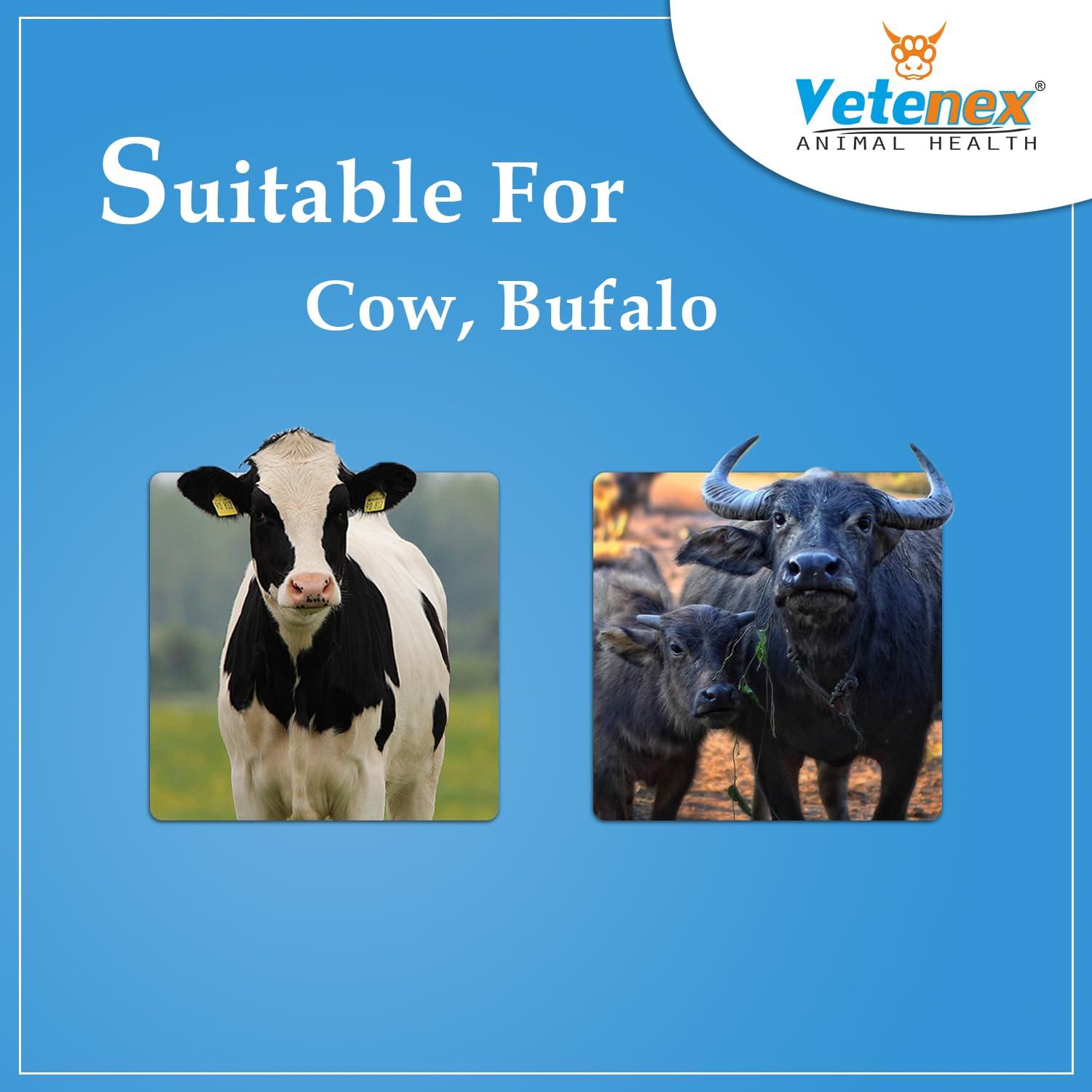 VETENEX VETENEX Fat Booster Plus - Bypass Fat Energy, Rumen Fat & Milk Boost Powder Supplement for Cattle, Cows, Buffalo and Farm Animals - 1 KG