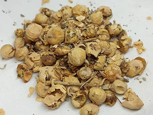 NATURALIFE NATURALIFE\'S-*PANNIR POO*-Indian Rennet Flower Dried I Withania coagulans Dunal I Paneer Poo/ I Paneer Phool/Paneer Doda I Panneru-gadda (250 GRAMS)