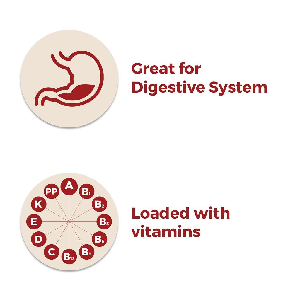 SATVAM Satvam Chaas/Buttermilk Masala (Pack of 2)|(2 * 100g)