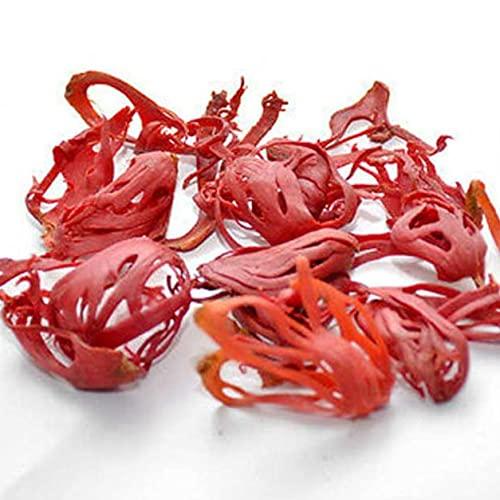 BHAJANLAL KUNJLAL BHAJANLAL KUNJLAL Javitri 100 Gram | Mace Red | Whole Spices |Japatri