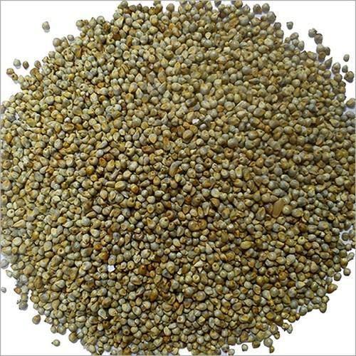 Roods Fresh Roods Fresh Whole Bajra Grain | Pearl Millet| (900 Grams )