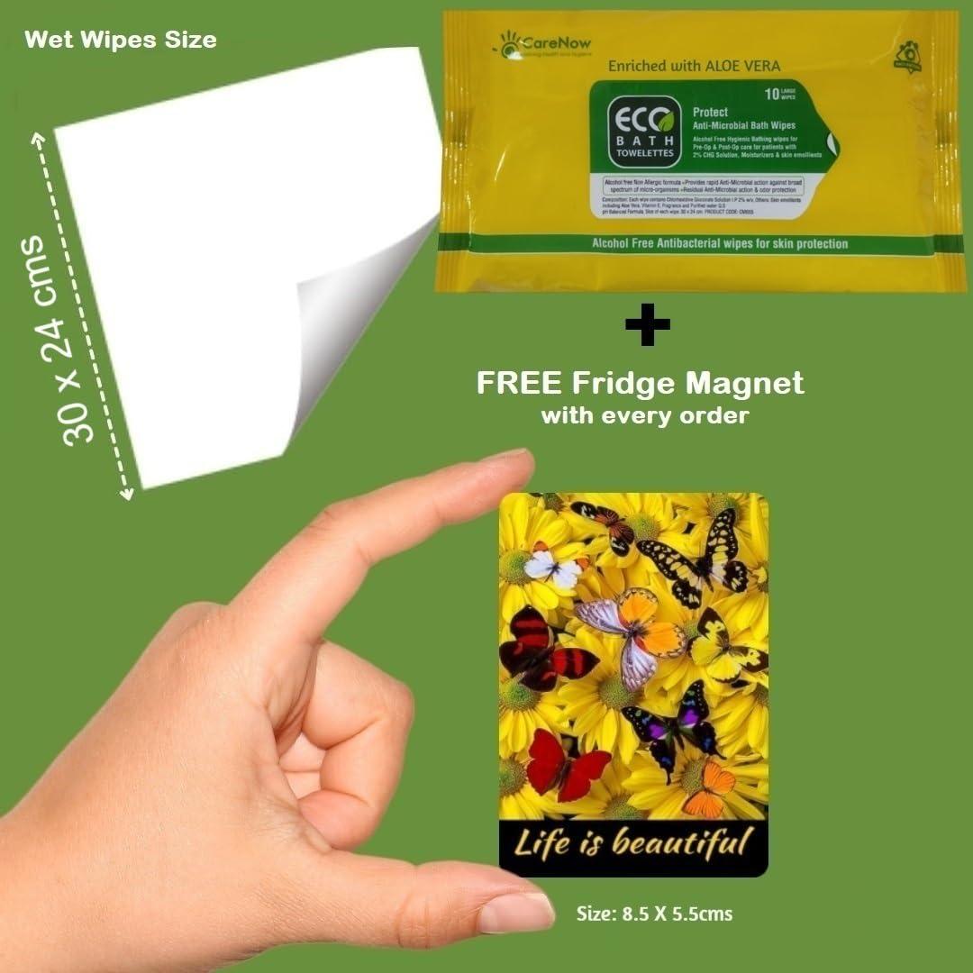 ECO PROTECT ECO PROTECT SKIN ANTISEPTIC WIPES PACK OF 100 WIPES
