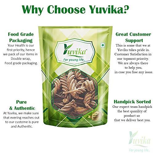 Yuvika YUVIKA Marod Phali - Marori - Helicteres Isora - Avaitini Screw Beans (800 Grams)