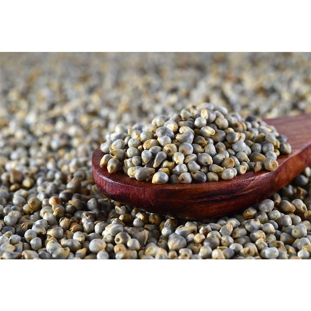 Farmbean Farmbean Raw Bajra/Pearl Millet Seeds for Eating, Healthy Seeds Unroasted Bajra/Pearl Millet Seeds, Raw and Unsalted - 2 KG