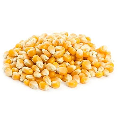 Roods Fresh Roods Fresh Popcorn Kernels | Unpopped Popcorn Seeds | Makki | Premium | 400 Gram Pack