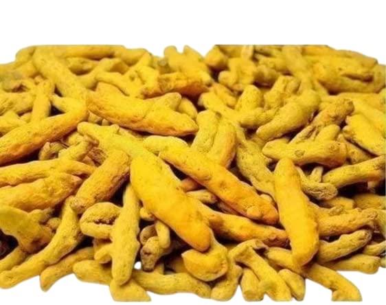 Manya Enterprises A1 Grade Haldi Ki Ganth,Raw Turmeric Yellow(11 Pc) For pooja,Vivah,Yagyopavit With 1 Assured Gift